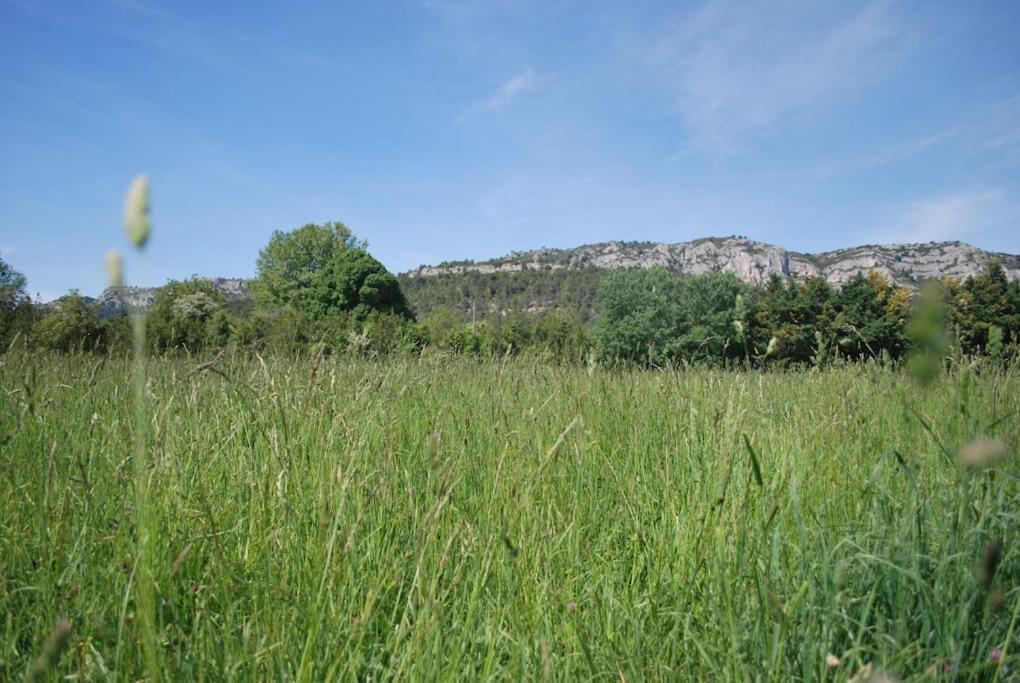 Le Cabanon Tendance Du Luberon Mérindol Exterior foto